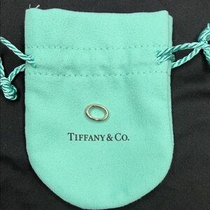 Tiffany Silver Jump Ring Oval Clasping Link Spring
Charm